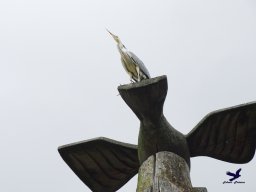 Tiergarten Schönbrunn am 15.05.2025